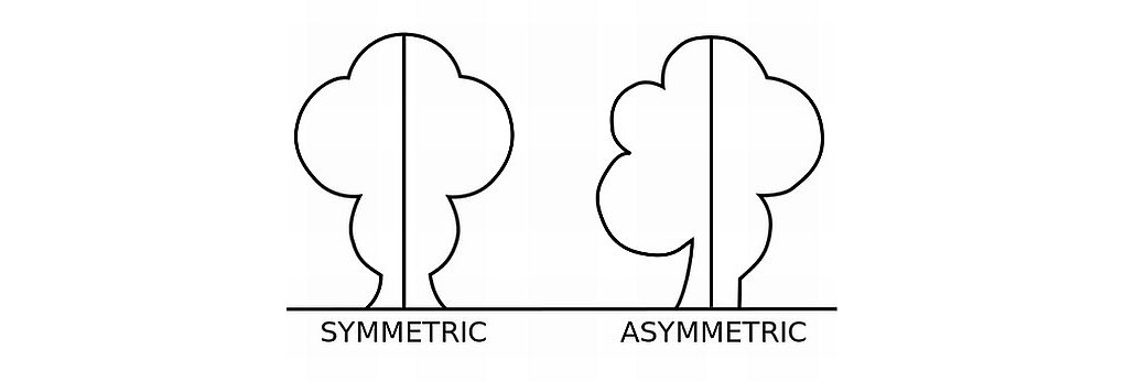 draw symmetrical sequence diagram online